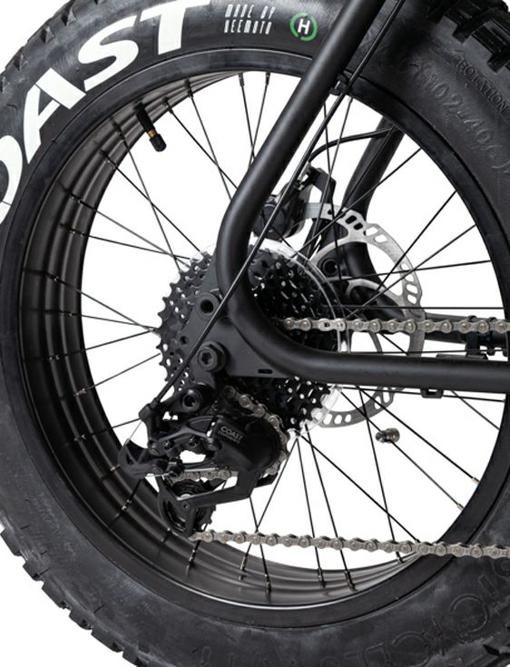 Buzzraw X JIS Spec | WATERMELONHEAD