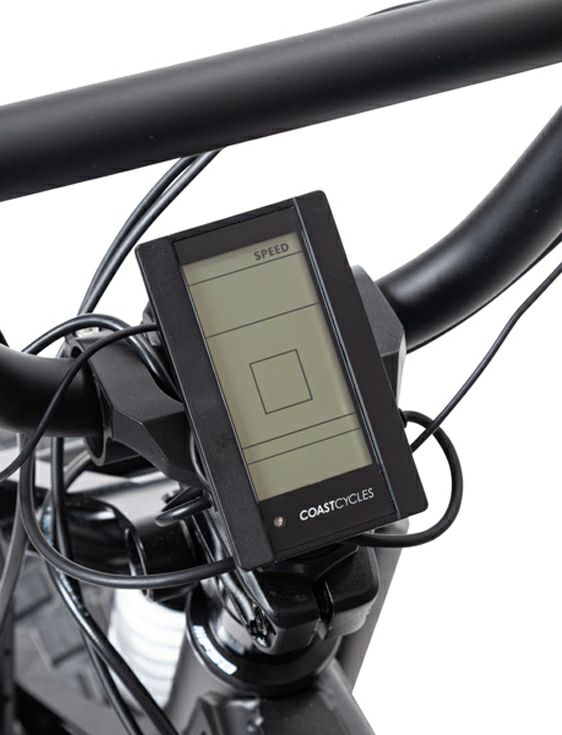 Buzzraw Classic JIS Spec | WATERMELONHEAD